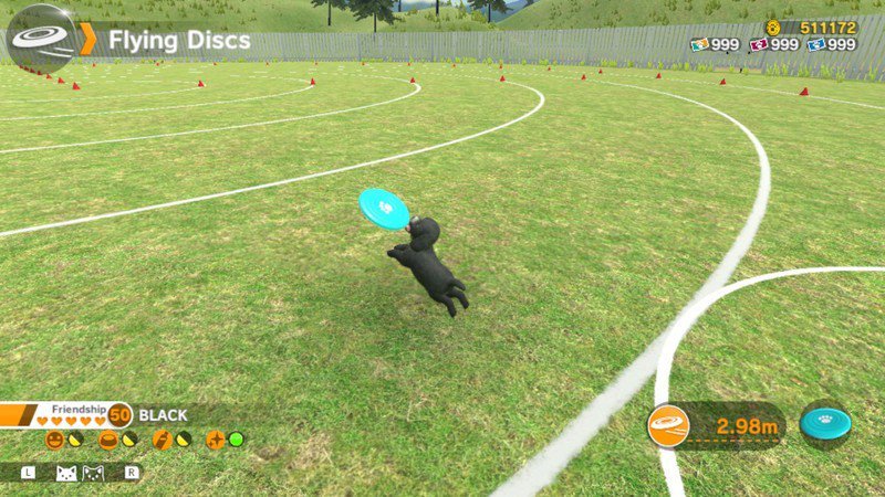 Little Friends: Dogs & Cats for Nintendo Switch – What you need to know