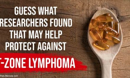 Giving your dog plenty of this might help prevent lymphoma