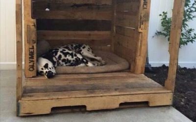 New (never used) – Custom built by the maxx & macho dog house company houston tx