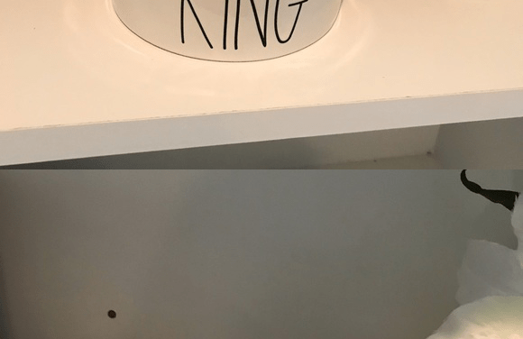 Rae Dunn Rae Dunn  By magenta LL Large Letter KING dog cat pet food or water bowl. Measures about 6&rdquo;. Brand new Tags: Easter hunny bunny