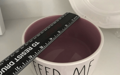 Rae Dunn Rae Dunn By magenta LL Large Letter FEED ME dog cat pet food or water bowl with pink interior. Measures about 6”. Brand new