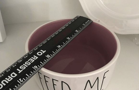 Rae Dunn Rae Dunn  By magenta LL Large Letter FEED ME dog cat pet food or water bowl with pink interior. Measures about 6&rdquo;. Brand new