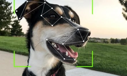 Dog Facial Recognition Technology Is Finally Here
