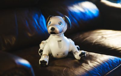 How Aibo becomes a robot overlord, one home at a time – CNET