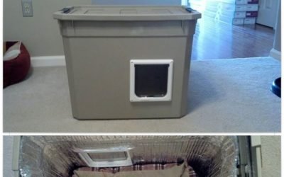 DIY safe house for stray cats in winter