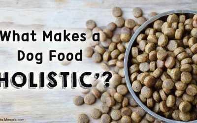 What makes a dog food &lsquo;holistic&rsquo;?