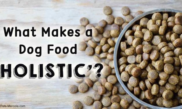 What makes a dog food &lsquo;holistic&rsquo;?