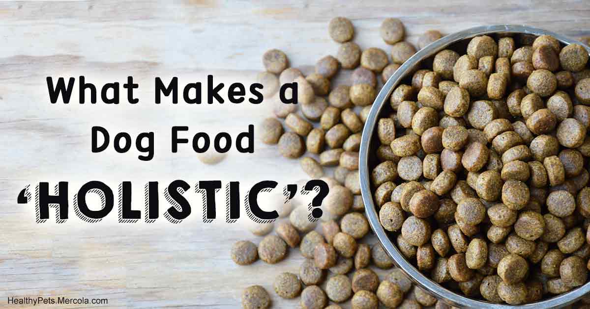What makes a dog food ‘holistic’?