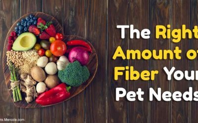 Fiber your pet needs, and the fancy fibers to avoid