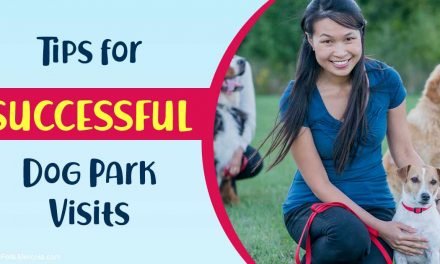 The truth about dog parks and why many dogs dislike them