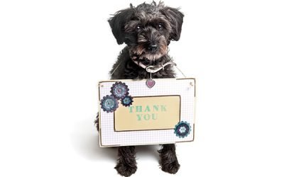 How Rescue Dogs Say &ldquo;Thank You&rdquo;