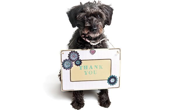 How Rescue Dogs Say &ldquo;Thank You&rdquo;