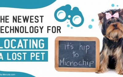 The newest technology for locating a lost pet