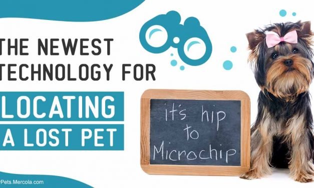 The newest technology for locating a lost pet