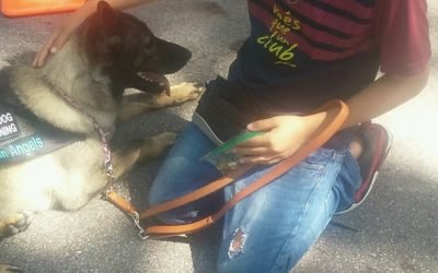 Service Dog Protects Young Boy After He Was Shot, Now She is Nominated for National Award