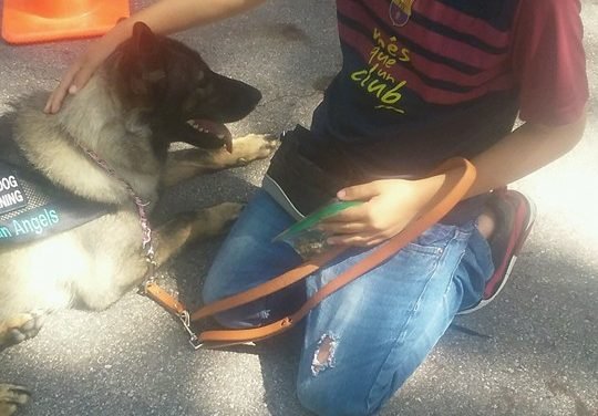Service Dog Protects Young Boy After He Was Shot, Now She is Nominated for National Award