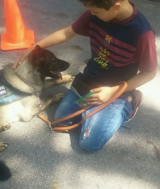 Service Dog Protects Young Boy After He Was Shot, Now She is Nominated for National Award