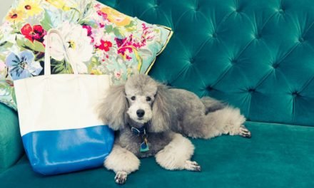 The Wellness Industry Is Coming for Your Pets