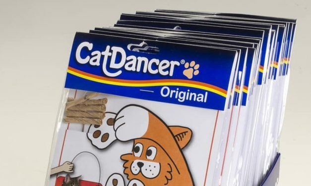 This Best-Selling Cat Toy is Only $1 on Amazon &mdash; and It'll Keep Your Cat Entertained for Hours