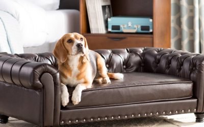 A $5,000 cat tower? Furniture for pets gets a fancy and spendy upgrade