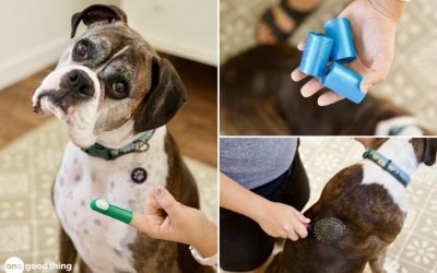 11 Smart Ways To Save Money As A Pet Owner