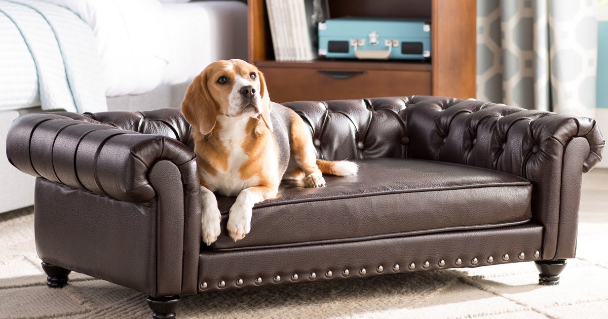 Pet furniture get stylish, from $20 dog beds to $5,000 cat towers