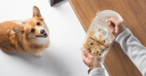 We Found the Healthiest Dog Food Out There and They Deliver!
