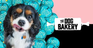 Celebrate National Dog Week Like a Smart Cookie