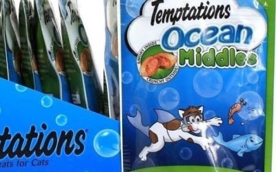 pets diy dogs cats bottle ideas care cutest bunny funny accessories small unique photography birds quotes fish preschool theme forkids