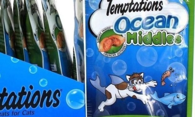 pets diy dogs cats bottle ideas care cutest bunny funny accessories small unique photography birds quotes fish preschool theme forkids