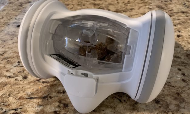 Sparky&rsquo;s Scared of the Varram Pet Fitness Robot