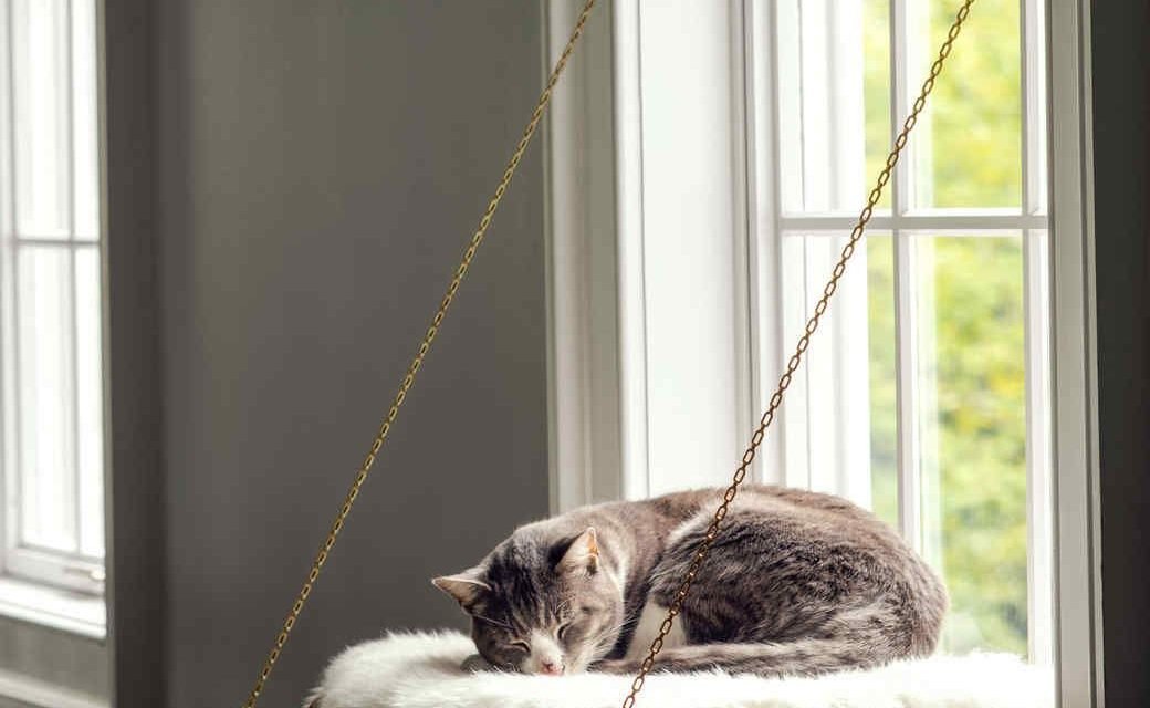 window ledge cat bed – diy instructions