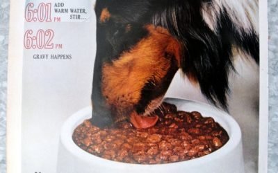 1962 Collie -Gravy Train Dog Food -Add Water Original 13.5 * 10.5 Magazine Ad-Pet Food
