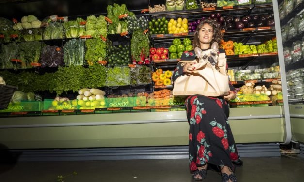 The Luxury Pet-Care Market Is Enabling Dog Owners to Curate an Aesthetic for Their Animals