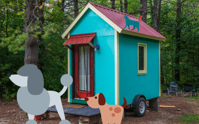 7 Tips For Keeping Cats and Dogs in a Tiny House