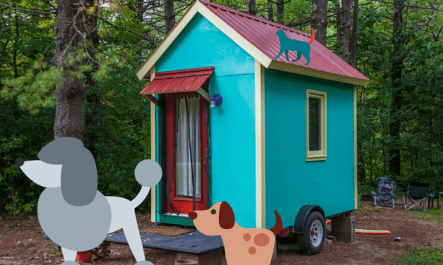7 Tips For Keeping Cats and Dogs in a Tiny House