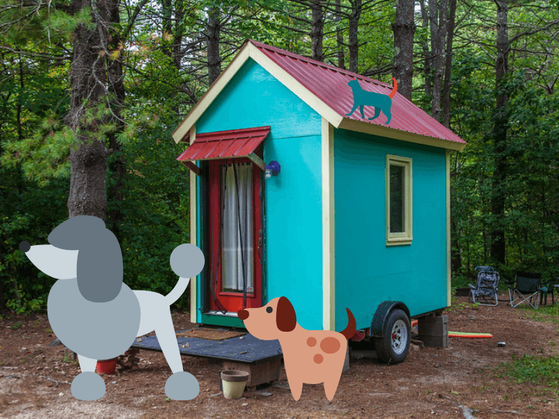 7 Tips For Keeping Cats and Dogs in a Tiny House