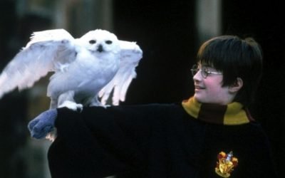 Pointers For Actually Keeping Literary Pets