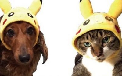 Pokemon Releases Adorable New Pet Clothing Collection