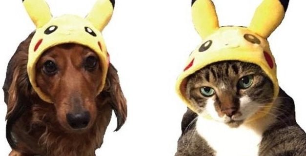 Pokemon Releases Adorable New Pet Clothing Collection