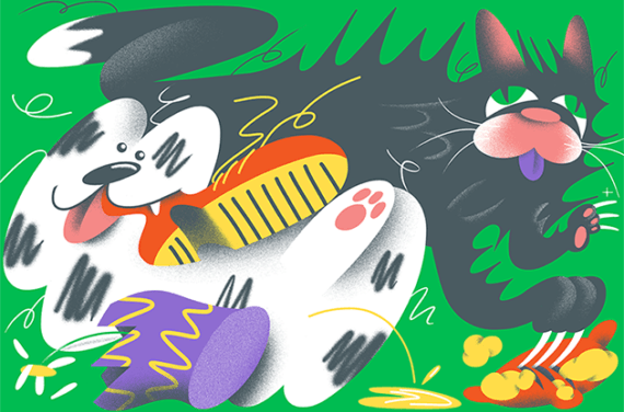 What to Buy to Keep Pets From Destroying Your Stuff