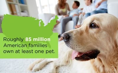 11-Point Checklist for Prepping Your Home for a First Pet