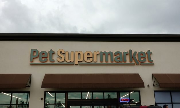 How to Use Social Media to Boost Sales for Pet Stores