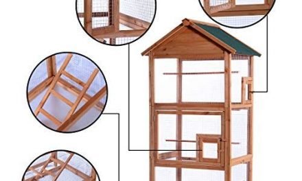 Outdoor Aviary Bird Cage Wood Vertical Play House Best Suggestion Online Pet Retail Products – Dogs , Cats, Birds, Fish, Horses