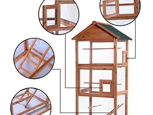 Outdoor Aviary Bird Cage Wood Vertical Play House Best Suggestion Online Pet Retail Products – Dogs , Cats, Birds, Fish, Horses