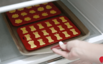 Your Dog Will Thank You For These Amazing Homemade Chicken Jello Snacks