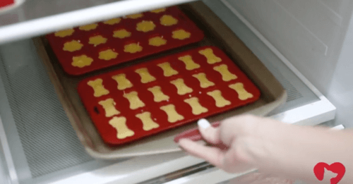 Your Dog Will Thank You For These Amazing Homemade Chicken Jello Snacks
