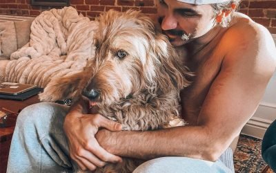 We love our furry friends something terrible. Here’s our guide to humane adoption.