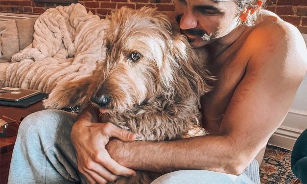 We love our furry friends something terrible. Here&rsquo;s our guide to humane adoption.