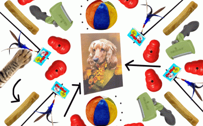 Our Pet Expert on the Best Gifts for Your Dog or Cat